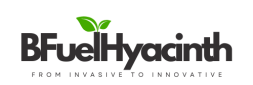BFuelhyacinth